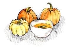 Watercolor of pumpkins and pumpkin soup vector illustration Watercolor of pumpkins and pumpkin soup vector illustration