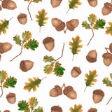 Watercolor Seamless pattern with acorns and oak leaves and branches.Beautiful autumn background vector illustration Watercolor Seamless pattern with acorns and oak leaves and branches.Beautiful autumn background vector illustration