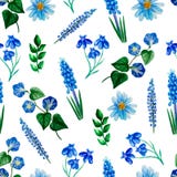 Watercolor seamless pattern with blue flowers, aster, lupine, ipomoea, lobelia, muscari, isolated stock illustration Watercolor seamless pattern with blue flowers, aster, lupine, ipomoea, lobelia, muscari, isolated stock illustration