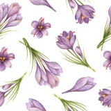 Watercolor seamless pattern with saffron flowers and branches. vector illustration Watercolor seamless pattern with saffron flowers and branches. vector illustration