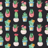 Watercolor seamless pattern with succulents and flowers in pots. stock illustration Watercolor seamless pattern with succulents and flowers in pots. stock illustration