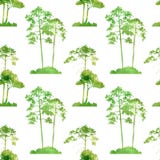 Watercolor seamless pattern with trees royalty free illustration Watercolor seamless pattern with trees royalty free illustration