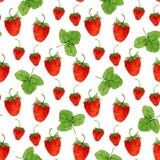Watercolor seamless pattern with vector strawberries and leaves on the white background. Hand drawn illustration for eco product royalty free illustration Watercolor seamless pattern with vector strawberries and leaves on the white background. Hand drawn illustration for eco product royalty free illustration