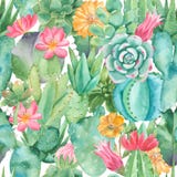 Watercolor Seamless Pattern With Compositions Of Succulents, Flowers. Royalty Free Stock Images Watercolor Seamless Pattern With Compositions Of Succulents, Flowers. Royalty Free Stock Images