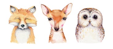 Watercolor set of forest cartoon isolated cute baby fox, deer, raccoon and owl animal with flowers. Nursery woodland