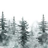 Watercolor snow winter forest landscape background with space for text. Snowy pine and spruce trees on white backdrop