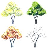 Watercolor trees. stock illustration Watercolor trees. stock illustration