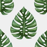 Watercolor tropical palm leaves seamless pattern stock illustration Watercolor tropical palm leaves seamless pattern stock illustration