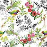 Watercolor Wild exotic birds on flowers seamless pattern on white background