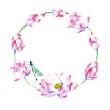 Watercolor wreath of lotus blossoms and flowers with dragonfly royalty free illustration Watercolor wreath of lotus blossoms and flowers with dragonfly royalty free illustration