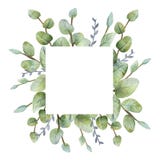 Watercolour green eucalyptus card on white background. royalty free illustration Watercolour green eucalyptus card on white background. royalty free illustration