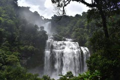Waterdaling, Verbazende Reis en populair gezichtspunt in Laos Stock Afbeeldingen Waterdaling, Verbazende Reis en populair gezichtspunt in Laos Stock Afbeeldingen