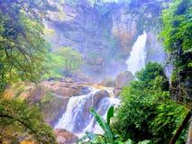 Waterfall in a beautiful forest royalty free stock photography Waterfall in a beautiful forest royalty free stock photography
