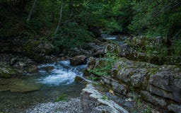 Waterfall in forest Royalty Free Stock Photos Waterfall in forest Royalty Free Stock Photos