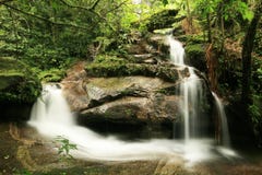 Waterfall In Rainforest Royalty Free Stock Photos