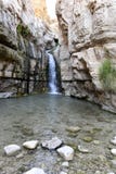 Waterfall in Judea desert oasis. Royalty Free Stock Photo Waterfall in Judea desert oasis. Royalty Free Stock Photo