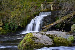 Waterfall Surrounded by Plants Stock Photography Waterfall Surrounded by Plants Stock Photography