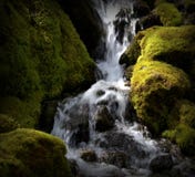 Waterfalls In The North Cascades Royalty Free Stock Images