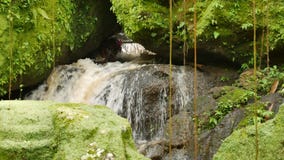 Waterflow w świątyni otaczającej skałami zakrywać z jaskrawym - zielony mech zdjęcie wideo Waterflow w świątyni otaczającej skałami zakrywać z jaskrawym - zielony mech zdjęcie wideo