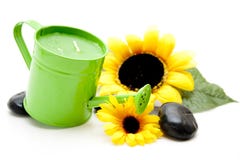 Watering Can With Sunflower Royalty Free Stock Images