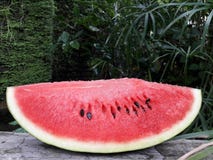 Watermelon stock photos Watermelon stock photos