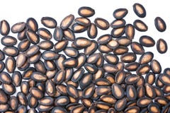 Watermelon Seeds Stock Images Watermelon Seeds Stock Images