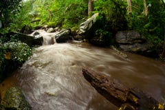 Watershed. Stream From The Mountains. Rainforest. Royalty Free Stock Photos Watershed. Stream From The Mountains. Rainforest. Royalty Free Stock Photos