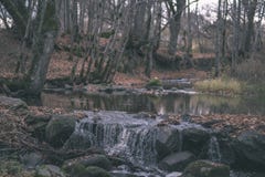 waterval over de rotsen in rivierstroom in bos in de recente herfst met naakte bomen en grijze kleuren in aard - uitstekende oude stock fotografie waterval over de rotsen in rivierstroom in bos in de recente herfst met naakte bomen en grijze kleuren in aard - uitstekende oude stock fotografie