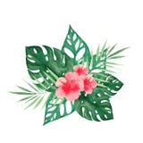 Waterverf met tropische bladeren en bloemen wordt geplaatst die royalty-vrije illustratie Waterverf met tropische bladeren en bloemen wordt geplaatst die royalty-vrije illustratie