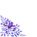 Waterverfboeket van irissen, hand getrokken bloemenillustratie, blauwe bloemen en bladeren op witte achtergrond vector illustratie Waterverfboeket van irissen, hand getrokken bloemenillustratie, blauwe bloemen en bladeren op witte achtergrond vector illustratie