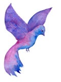 Waterverfhand getrokken violette die vogel op de witte achtergrond wordt geïsoleerd stock illustratie Waterverfhand getrokken violette die vogel op de witte achtergrond wordt geïsoleerd stock illustratie