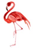Waterverfillustratie van Flamingo op witte achtergrond royalty-vrije illustratie Waterverfillustratie van Flamingo op witte achtergrond royalty-vrije illustratie