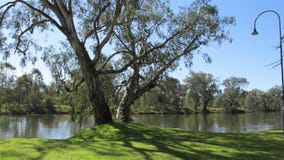 Waterway, Tree, Nature Reserve, Water stock images Waterway, Tree, Nature Reserve, Water stock images