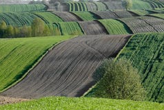 Wavy fields, fairy-tale patterns Royalty Free Stock Images Wavy fields, fairy-tale patterns Royalty Free Stock Images