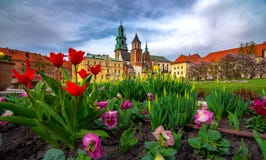 Wawelkasteel en kathedraal beroemd oriëntatiepunt in Krakau stock afbeeldingen Wawelkasteel en kathedraal beroemd oriëntatiepunt in Krakau stock afbeeldingen