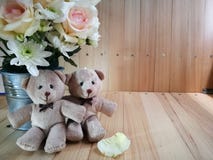 Waza bukiet róże w aluminiowym wiadrze i uroczym para niedźwiedziu na różowym tle Obrazy Stock Waza bukiet róże w aluminiowym wiadrze i uroczym para niedźwiedziu na różowym tle Obrazy Stock