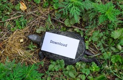 wczytywania danych Z?y interneta symbol Niska ?ci?ganie pr?dko?? internety zwalniaj? Zwyczajny rzeczny tortoise temperate szeroko obraz stock wczytywania danych Z?y interneta symbol Niska ?ci?ganie pr?dko?? internety zwalniaj? Zwyczajny rzeczny tortoise temperate szeroko obraz stock