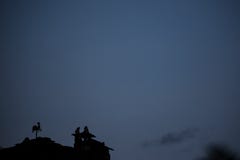 Weathercock silhouette on the roof at night stock image Weathercock silhouette on the roof at night stock image