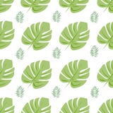 Vector seamless pattern with tropical leaves.White background. vector illustration Vector seamless pattern with tropical leaves.White background. vector illustration