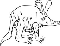 Aardvark Clipart And Illustrations