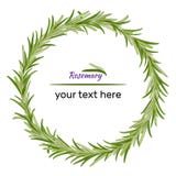 Wreath of rosemary branches. Vector illustration of herbs. royalty free illustration Wreath of rosemary branches. Vector illustration of herbs. royalty free illustration