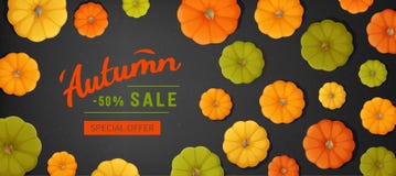 Webbanner voor de herfstverkoop Horizontale bannervlieger met pompoenen op een zwarte textuur Speciale seizoengebonden aanbieding vector illustratie Webbanner voor de herfstverkoop Horizontale bannervlieger met pompoenen op een zwarte textuur Speciale seizoengebonden aanbieding vector illustratie
