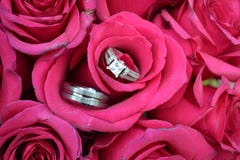 Wedding Bands and Roses Royalty Free Stock Photo Wedding Bands and Roses Royalty Free Stock Photo