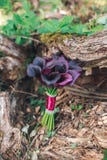 Wedding bouquet of Calla. Bouquet of purple flowers. Royalty Free Stock Photography Wedding bouquet of Calla. Bouquet of purple flowers. Royalty Free Stock Photography