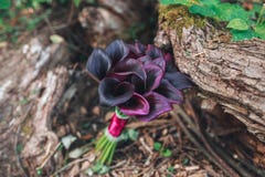 Wedding bouquet of Calla. Bouquet of purple flowers. Royalty Free Stock Images Wedding bouquet of Calla. Bouquet of purple flowers. Royalty Free Stock Images