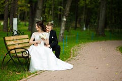 how much does mail order brides cost