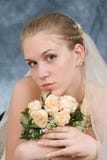 Wedding Portrait Royalty Free Stock Image Wedding Portrait Royalty Free Stock Image