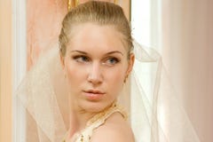 Wedding Portrait Stock Images Wedding Portrait Stock Images