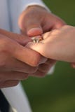 Wedding Ring For Her Royalty Free Stock Image Wedding Ring For Her Royalty Free Stock Image