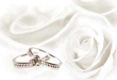 Wedding rings and white rose